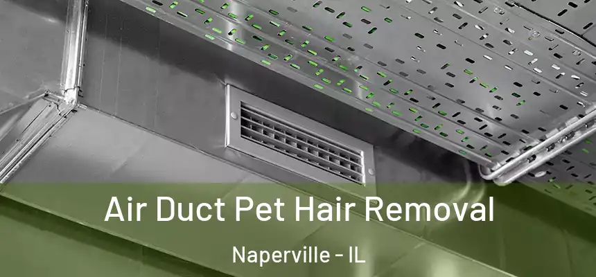  Air Duct Pet Hair Removal Naperville - IL