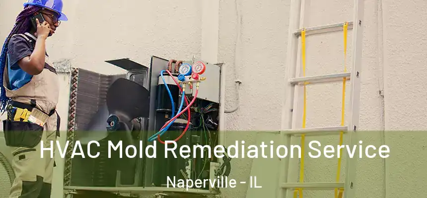  HVAC Mold Remediation Service Naperville - IL