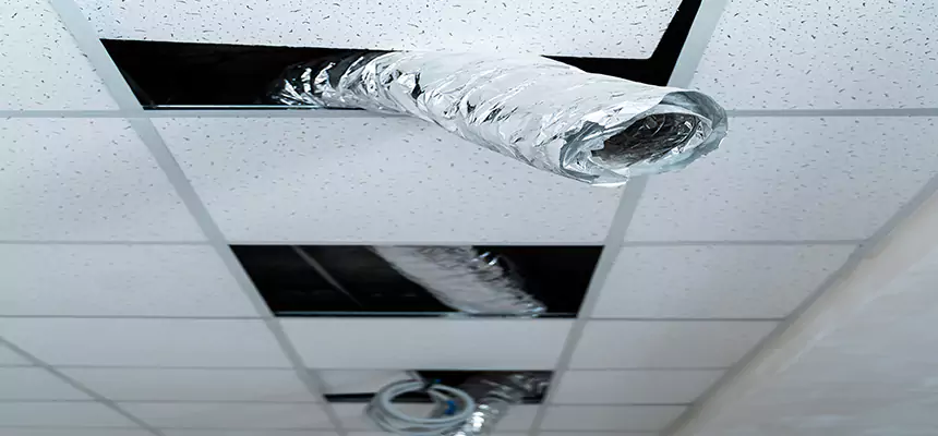 Affordable HVAC Sanitizing After Pest Removal in Naperville