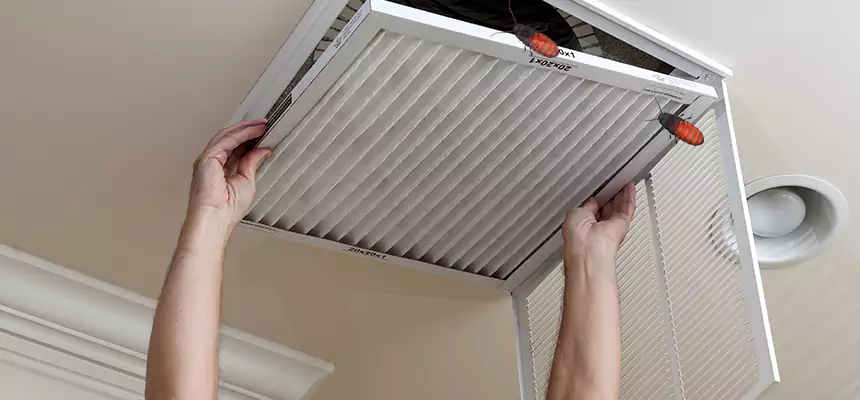 Our Insect Removal from Air Ducts Services in Naperville, IL