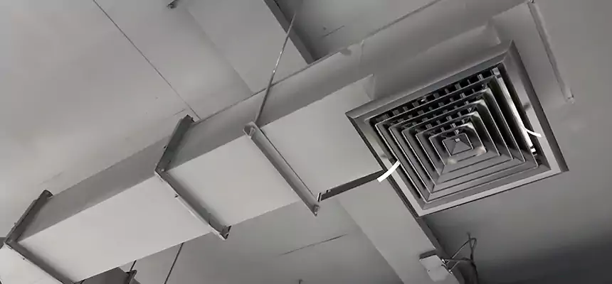 Our Rodent Droppings In Vents Services in Naperville, IL