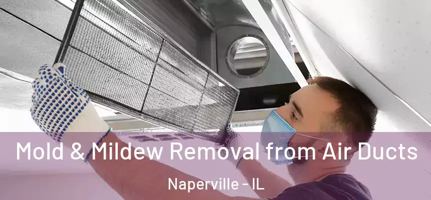  Mold & Mildew Removal from Air Ducts Naperville - IL