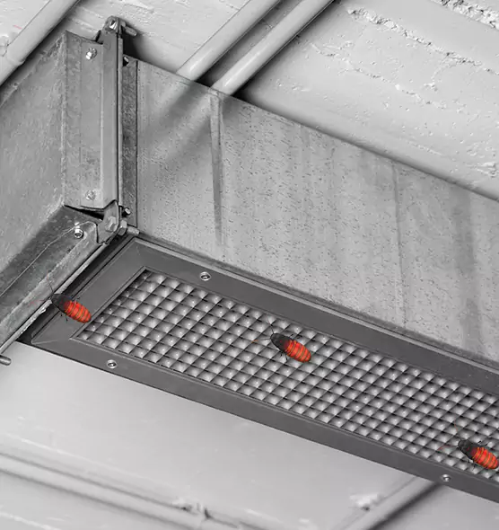 Affordable Insect Removal from Air Ducts in Naperville, IL