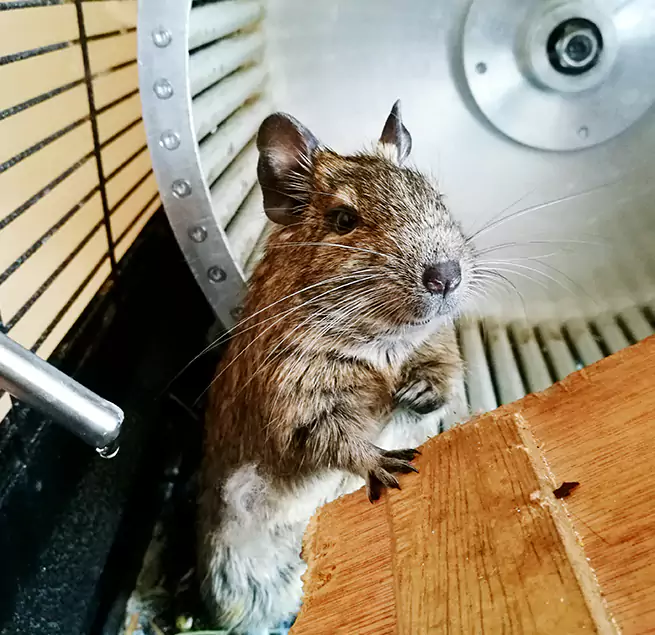 Why Homeowners & Businesses Trust Us Naperville, IL