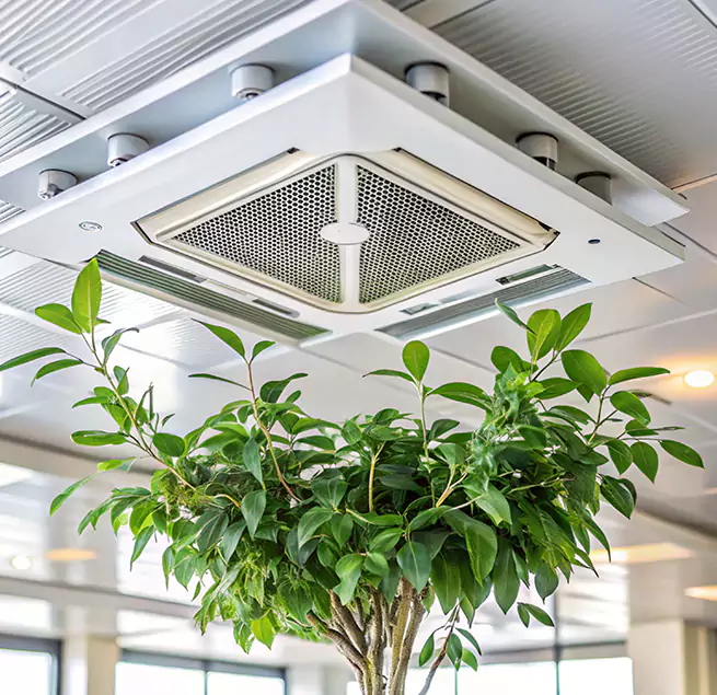 Why Homeowners & Businesses Trust Us in Naperville, IL