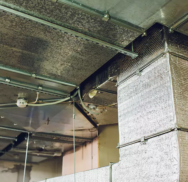 Why Homeowners & Businesses Trust Us in Naperville, IL?